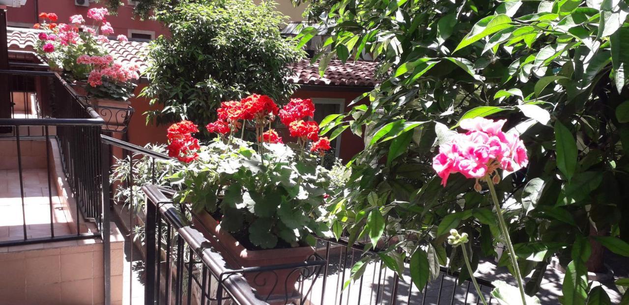 Gioia Roma